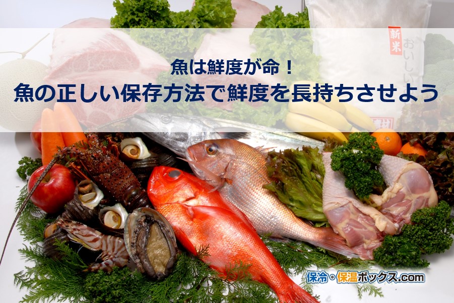 魚は鮮度が命 魚の正しい保存方法で鮮度を長持ちさせよう お知らせ コラム 保冷 保温ボックス Com オーダーメイドの業務用保冷ボックスを製造